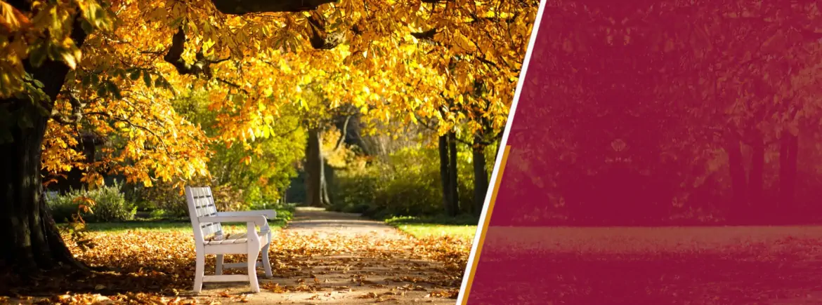 Servicii Funerare Brasov și Pompe Funebre Brasov